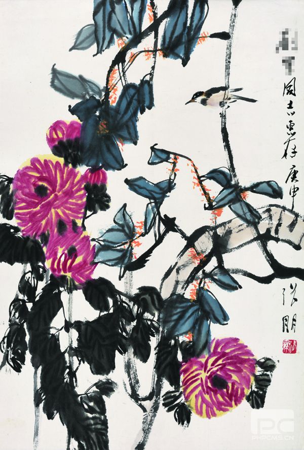 張朋 菊